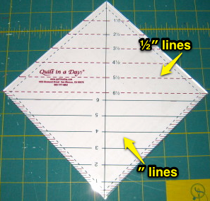 Rulers have ½″ and full inch lines marked.