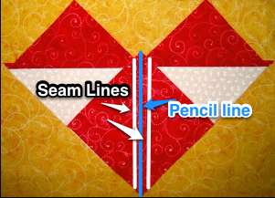Sew a ¼″ seam on both sides of pencil line.