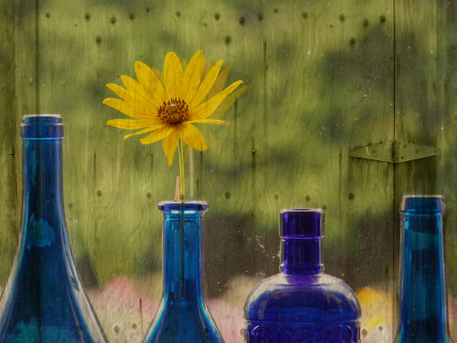 bottles on a windowsill with a flower