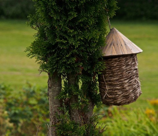 a birdhouse attached to a tree