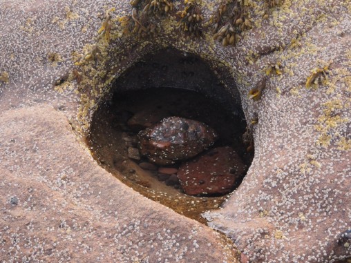stones in a hole in a rock full of water