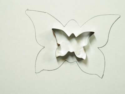 enlarged butterfly on paper