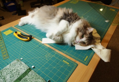 Cat lying on sewing table