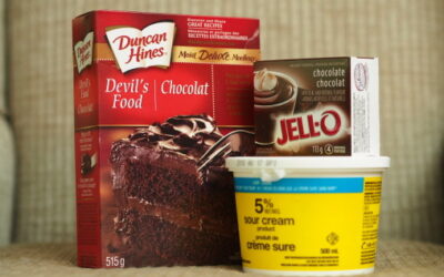 The Best Ever Devil’s Food Chocolate Cake Recipe