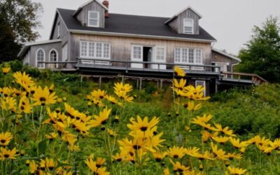 Flowers At The Bluff