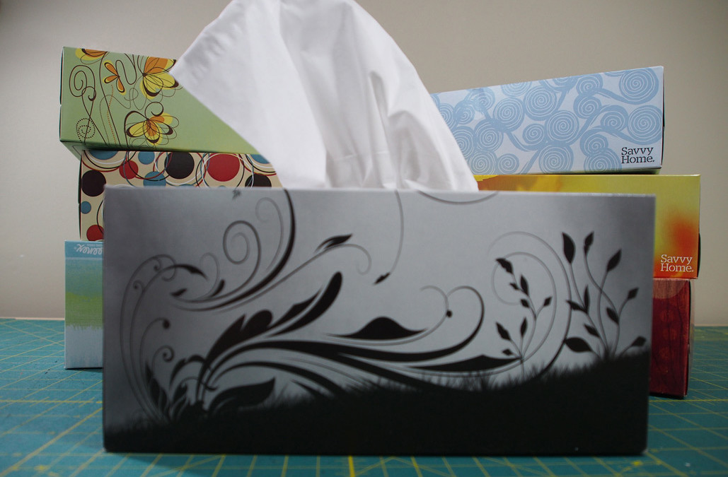 Tissue Box Inspiration