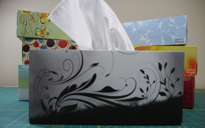 Tissue Box Inspiration